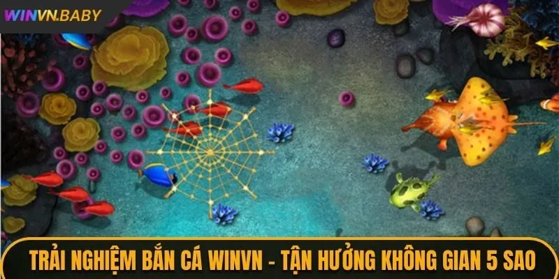 Trải nghiệm bắn cá WINVN - Tận Hưởng Không Gian Chuẩn 5 Sao